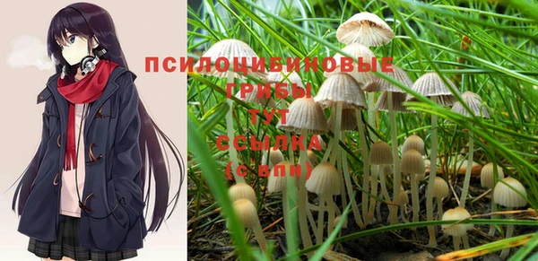соль курить ск Нефтекумск