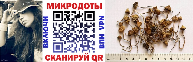 как найти наркотики Струнино Псилоцибиновые грибы Magic Shrooms